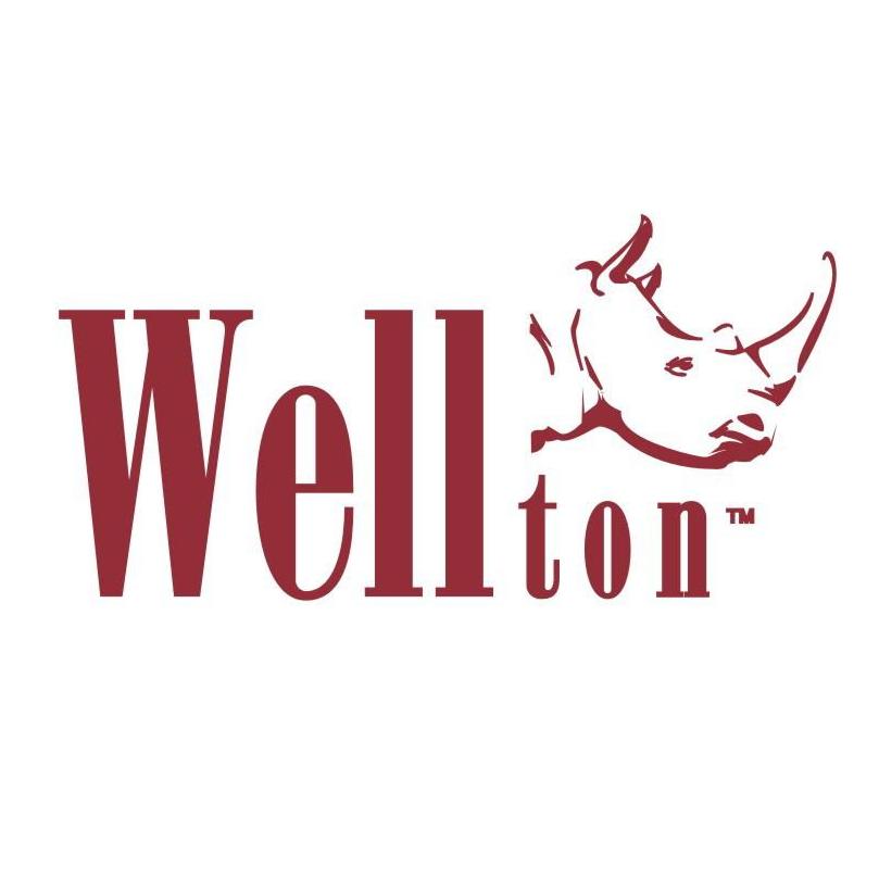 WELLTON - Decolor Group Ltd